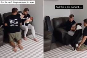 dog newborn baby mom dad
