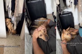 Rescue Dog Is ‘Anxious’ About Car Ride, Hides in Closet Until Dad Comforts Him
