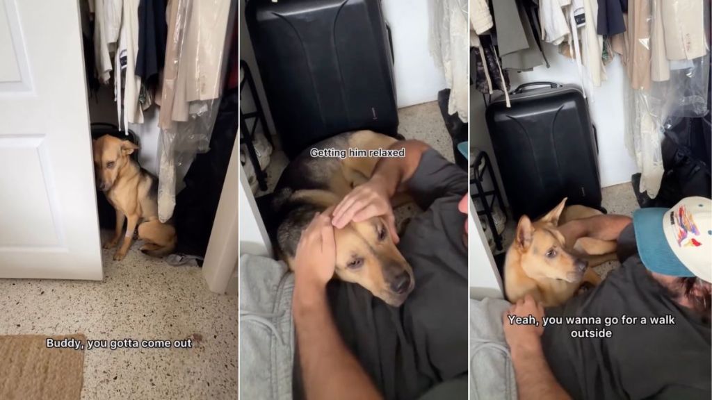 Rescue Dog Is ‘Anxious’ About Car Ride, Hides in Closet Until Dad Comforts Him