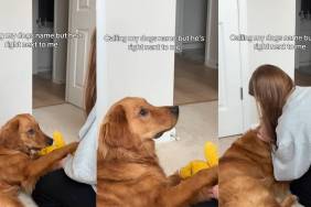 Dog Reacts to Mom Calling His Name Out Loud When He’s Right There