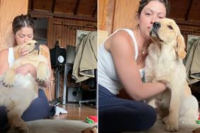 Golden Retriever Puppy Wakes up From Nap To Get Sweet Scratches From Mom