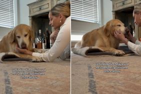Golden Retriever Soaks up All of Mom’s Love & Kisses Before She Leaves