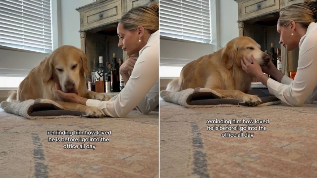 Golden Retriever Soaks up All of Mom’s Love & Kisses Before She Leaves