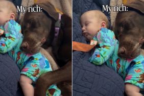 Dog & Baby Cuddle for the Most Peaceful Nap Together