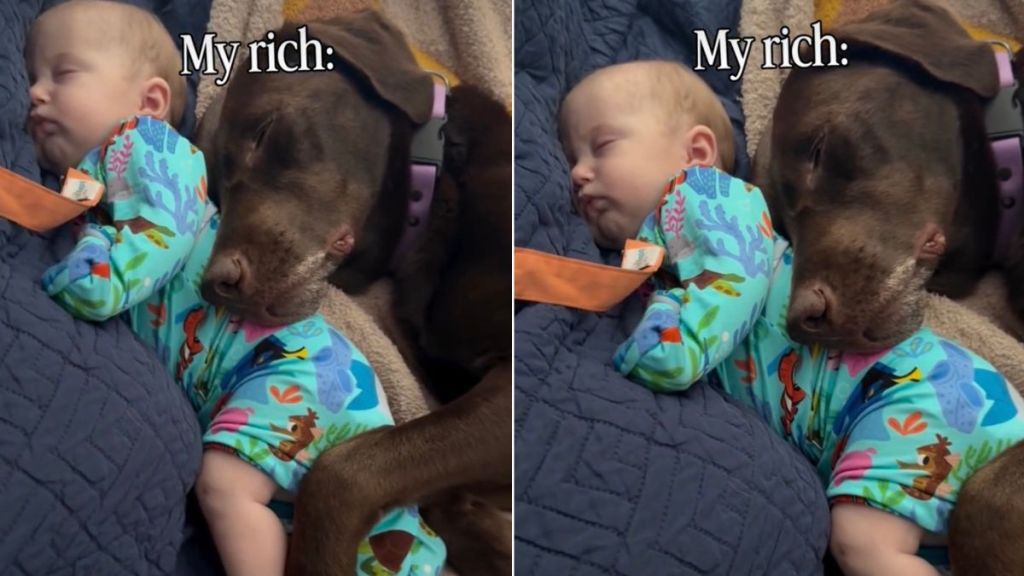 Dog & Baby Cuddle for the Most Peaceful Nap Together