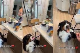 Dog Shares Sweet Peanut Butter Moment With Little Boy