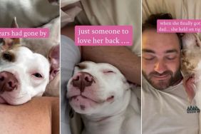 Deaf Rescue Dog Waited Years for Love, Now Holds on Tight After Finding Dad