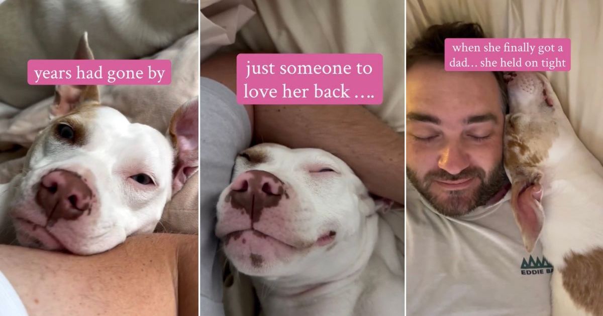 Deaf Rescue Dog Waited Years for Love, Now Holds on Tight After Finding Dad
