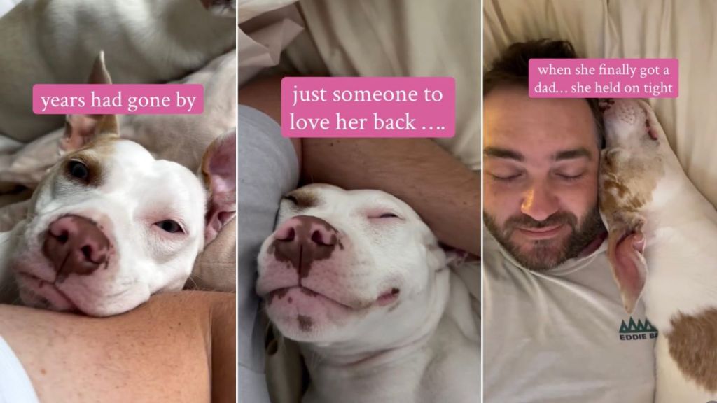 Deaf Rescue Dog Waited Years for Love, Now Holds on Tight After Finding Dad