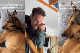 Dog Has ‘A Stare Down of a Century’ With Dad