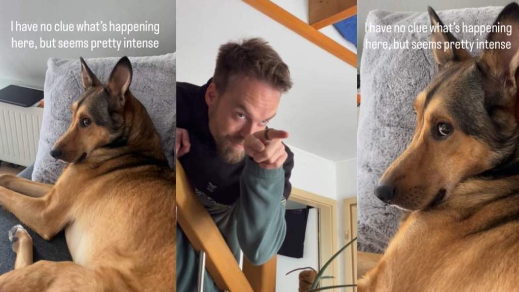 Dog Has ‘A Stare Down of a Century’ With Dad