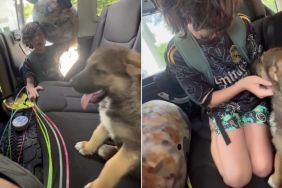 Puppy Makes Little Boy Cry Happy Tears When They First Meet, Then Gets Sweet Hug