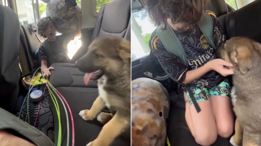 Puppy Makes Little Boy Cry Happy Tears When They First Meet, Then Gets Sweet Hug