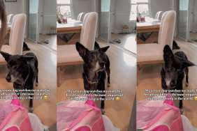 Senior Dog Admires Mom Like She’s His Whole World as She Makes Breakfast