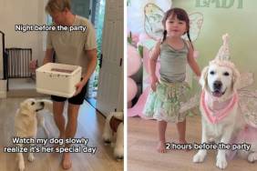 Golden Retriever Realizes It’s Her Special Day, Gets Hugs From Little Girl