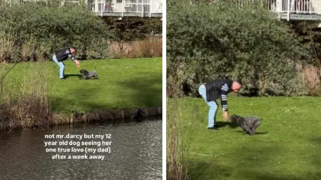 Senior Dog Runs Across Park To Meet One True Love & It’s Just Grandpa