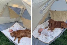 Dog & Baby Sharing Sweet Bonding Moment Under Tent Melts Hearts