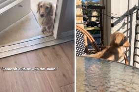 Dog Brings Mom Outside to Balcony To Sit With Him