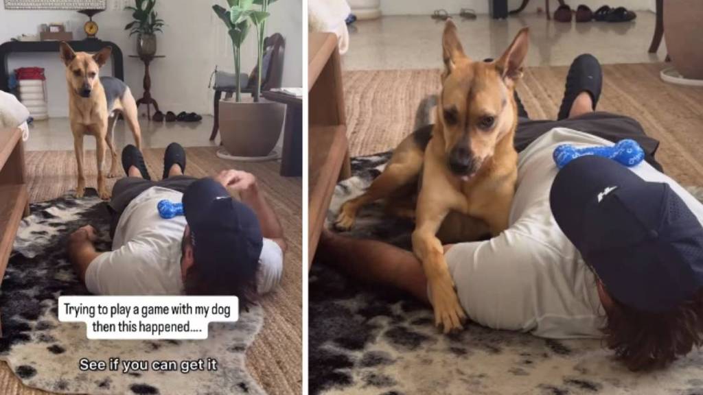 Rescue Dog Chooses Cuddle Time Over Playing Game With Dad