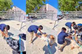 Dog Loves Walks, but Real Joy Comes From Meeting Little Kids for Belly Rub