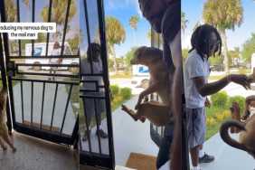 ‘Nervous’ Rescue Dog Is Scared To Meet Mailman, but Stays Calm Is Dad’s Arms