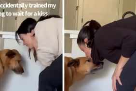 Dog Has Food Right in Front of Him, but Still Looks to Mom for a Kiss