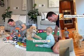 Golden Retriever Keeps Bringing Ball to Baby Until It Finally Works Years Later