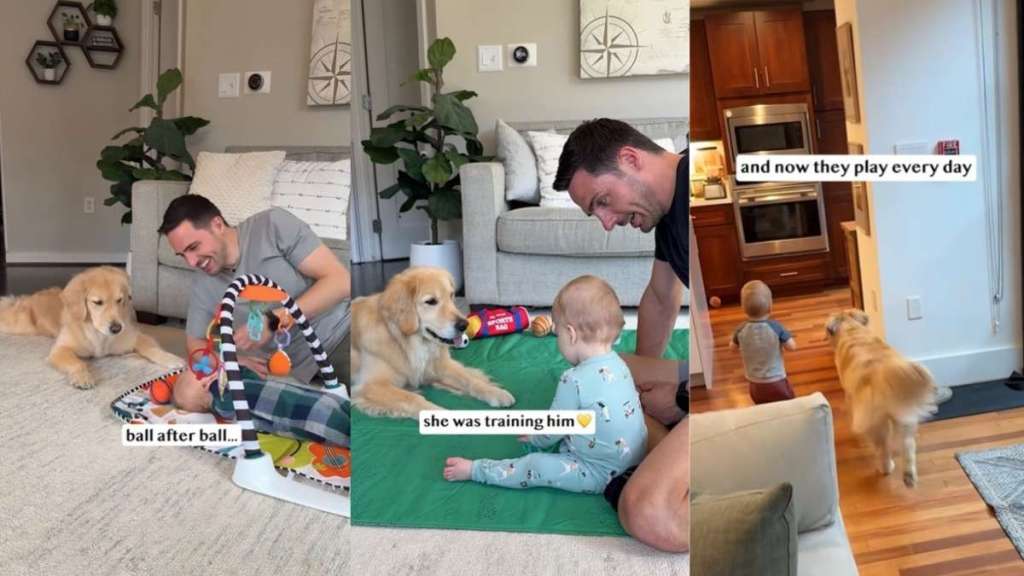 Golden Retriever Keeps Bringing Ball to Baby Until It Finally Works Years Later