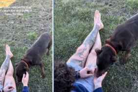 Lost Rescue Dog No One Could Save Finally Meets Family Ready To Take Her Home