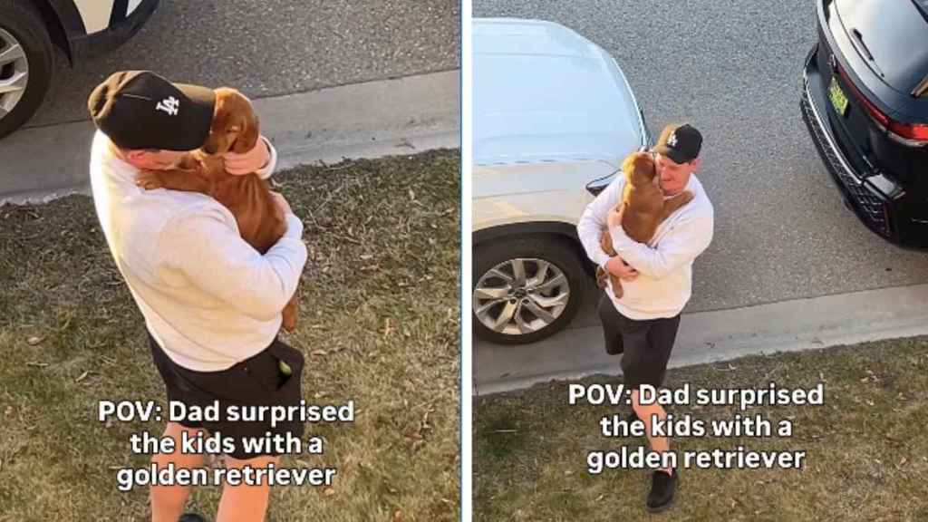 Golden Retriever Puppy Sends Kids Screaming With Joy in Surprise Dad Knew They Needed