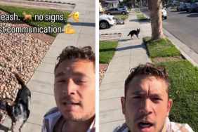 Dog’s Incredible Tricks Have People Across the Internet Amazed