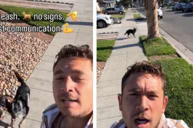 Dog’s Incredible Tricks Have People Across the Internet Amazed