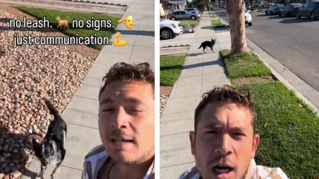 Dog’s Incredible Tricks Have People Across the Internet Amazed