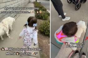 Golden Retriever & Little Girl Show Love Finds Its Way Back When Given Selflessly