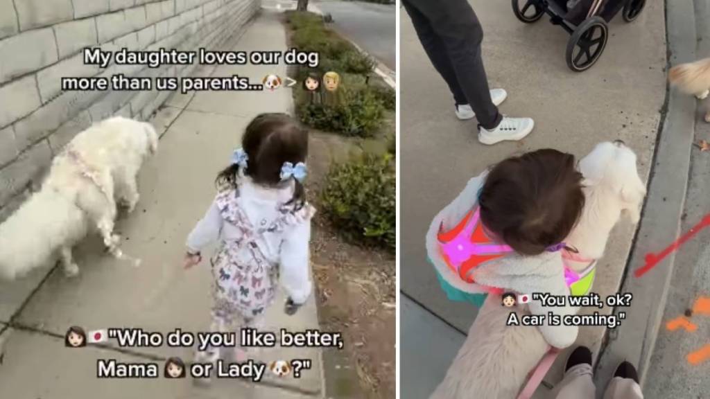 Golden Retriever & Little Girl Show Love Finds Its Way Back When Given Selflessly