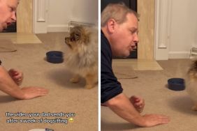 Dog & Grandpa’s Conversation Is Proof That They Share Special Bond