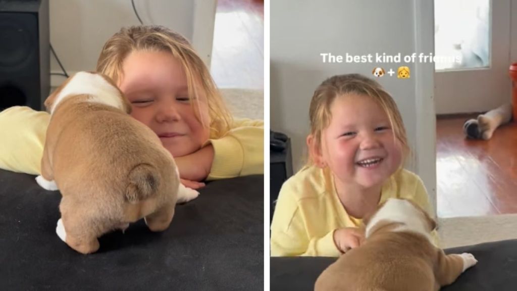 Puppy & Little Girl Become Best Friends in Sweetest Way