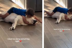 Dog Gets So Much Love From Little Boy, He Responds With Endless Kisses