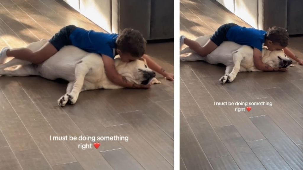 Dog Gets So Much Love From Little Boy, He Responds With Endless Kisses