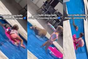 Big Dog Protects Little Girl in Pool, Keeps Looking Back To See if She’s Okay