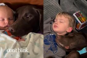 Dog Still Cuddles Little Boy Same Way They Used to When He Was Just a Baby