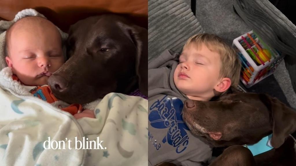 Dog Still Cuddles Little Boy Same Way They Used to When He Was Just a Baby