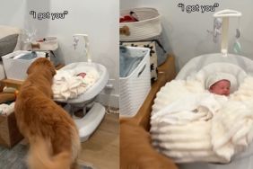 Golden Retriever Makes It Clear She’ll Be There for Baby Girl No Matter What