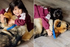 Big Dog Has Never Known Life Without Little Girl, He Can’t Even Imagine One