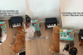 Dog Teaches Little Girl How To Play Piano