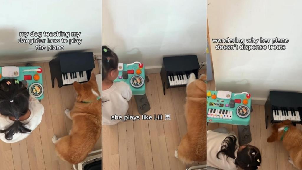 Dog Teaches Little Girl How To Play Piano