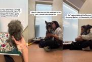 Shelter Dog Hates His Kennel & Shakes in Fear Until He Gets Hugs