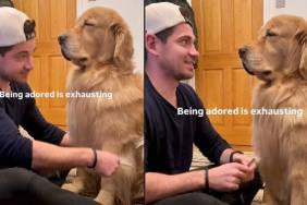 Dog Can’t Keep Eyes Open as He Enjoys Dad Brushing His Hair