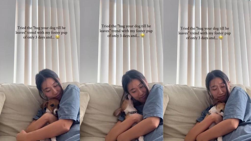 Foster Dog Doesn’t Leave When Mom Hugs Him, Instead He Leans in Closer