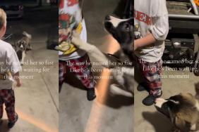Dog Responds to Little Boy Giving Her a Name With Nonstop Tail Wags